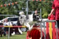 /album/fotogallerij/foto-8hdqza6o-kopie-jpg/